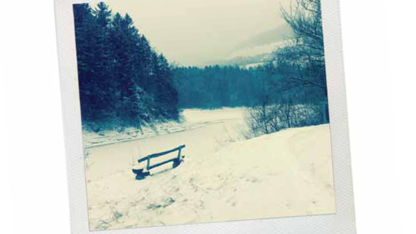 Una vecchia polaroid con i suoi tipici colori saturi. Il passato torna d’attualità