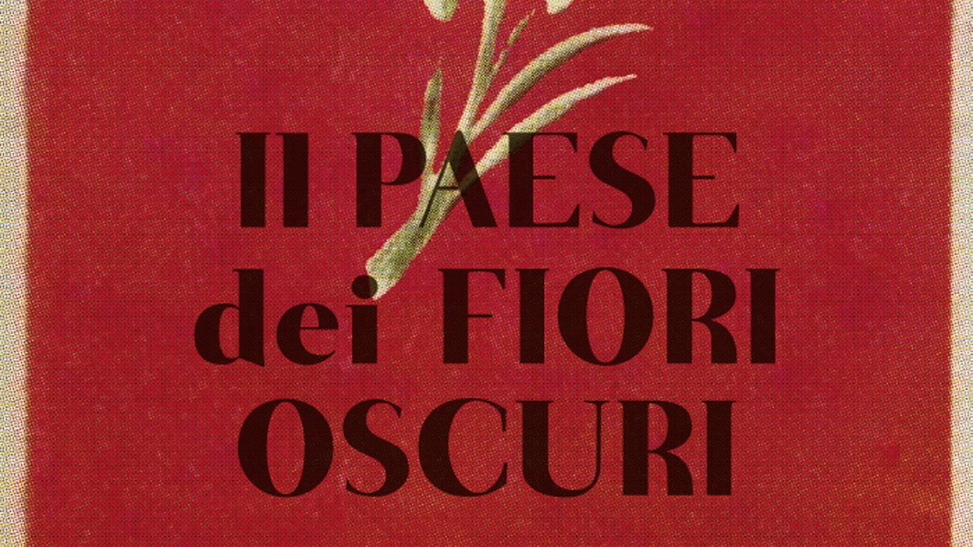 “Il paese dei fiori oscuri” di Eva Menasse, Bompiani (dettaglio di copertina)