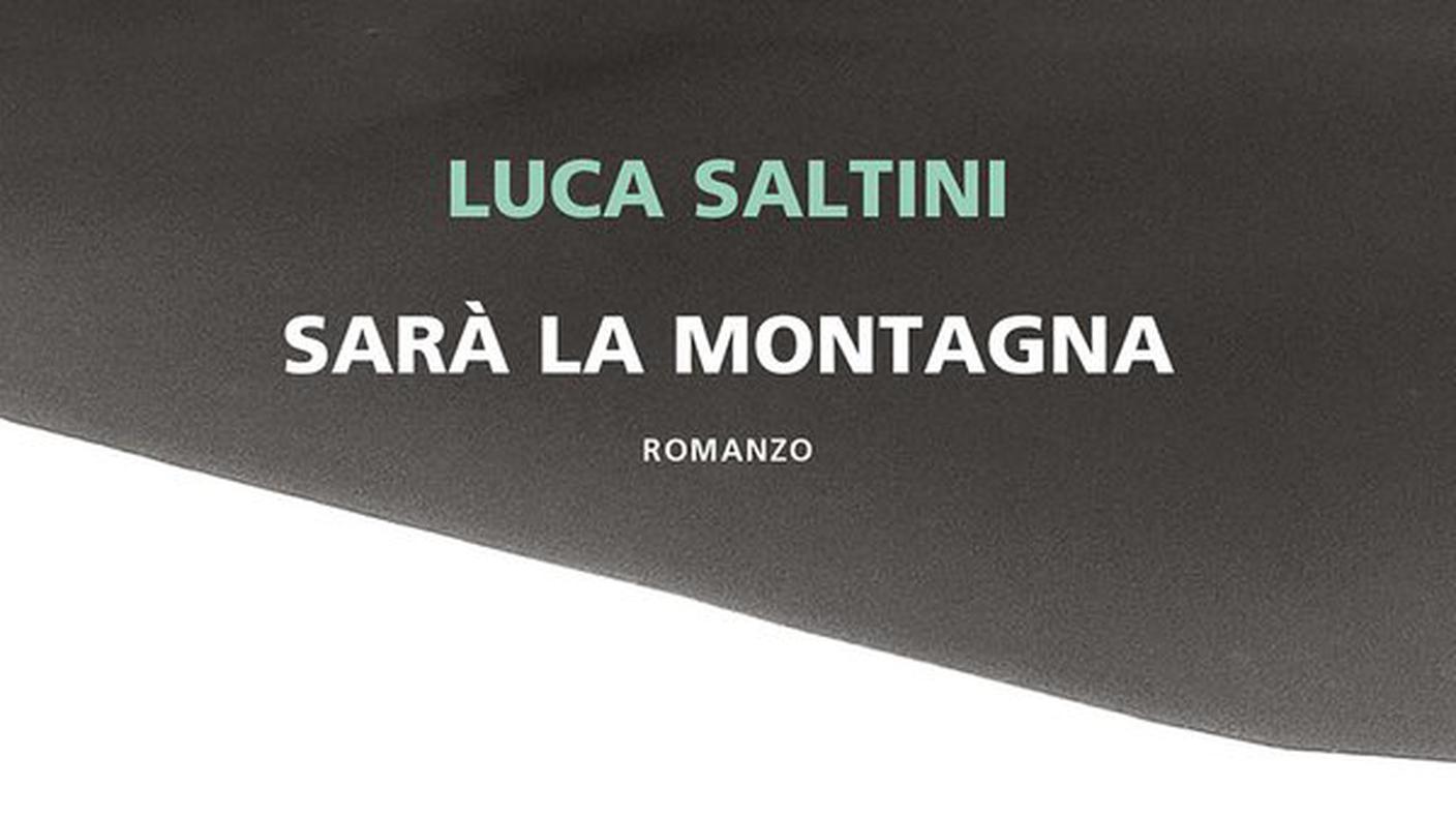 “Sarà la montagna” di Luca Saltini, Neri Pozza (dettaglio di copertina)