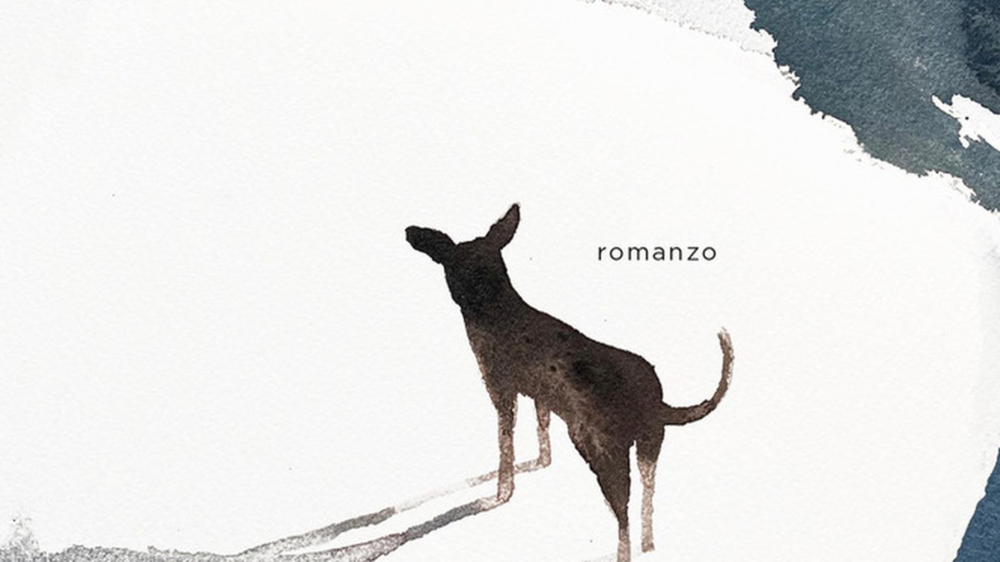 "Billy il cane" di Alberto Rollo, Il ponte delle grazie (dettaglio di copertina)