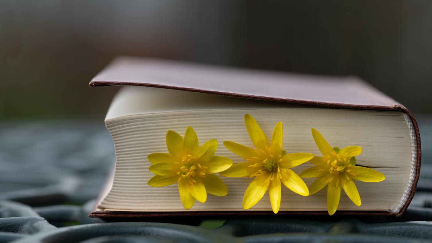 Book