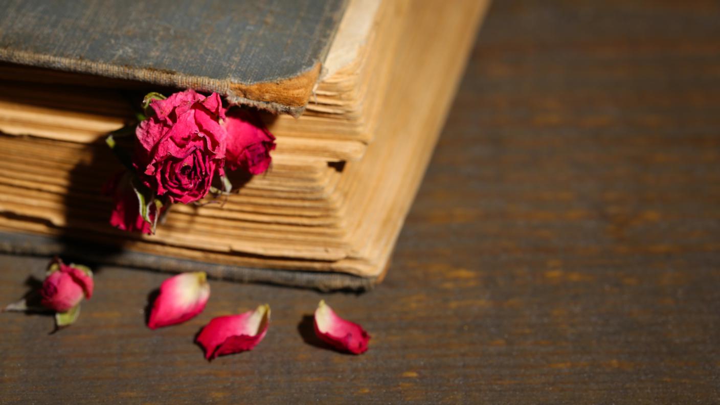 Libro con rosa