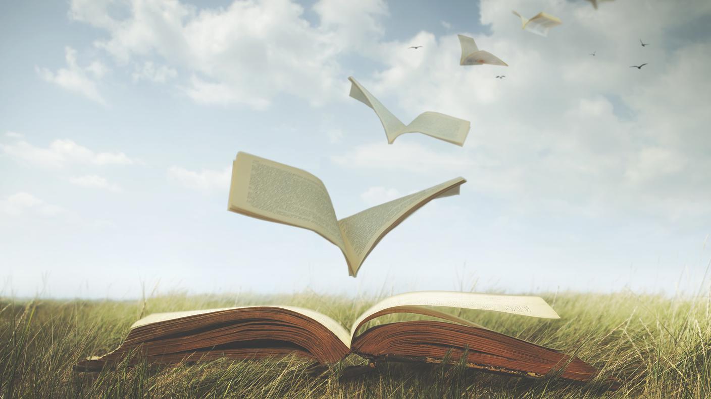 Pages of an open book fly free like birds
