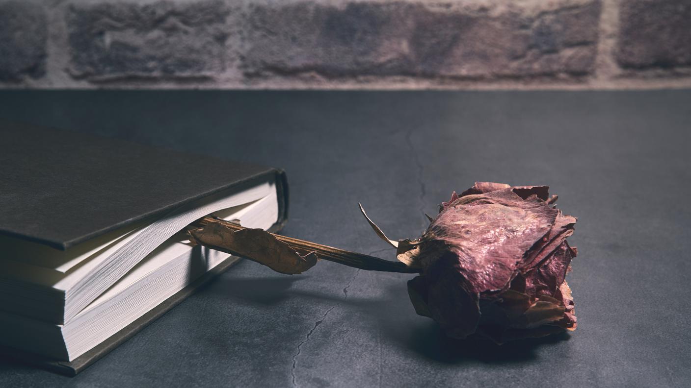Letteratura e dolore