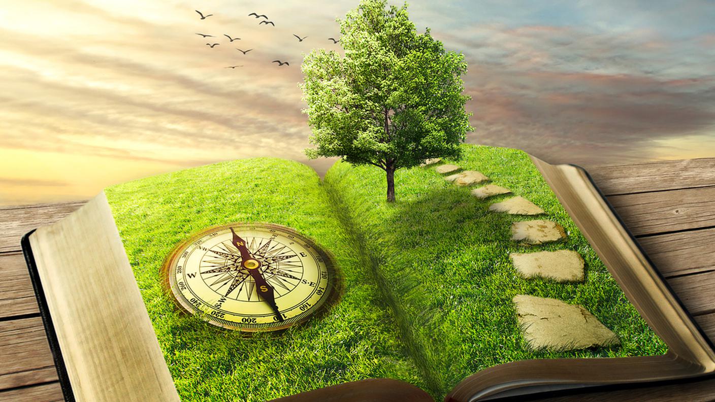 iStock-Libro, Libro illustrato, Etereo, Fiaba, Sentiero