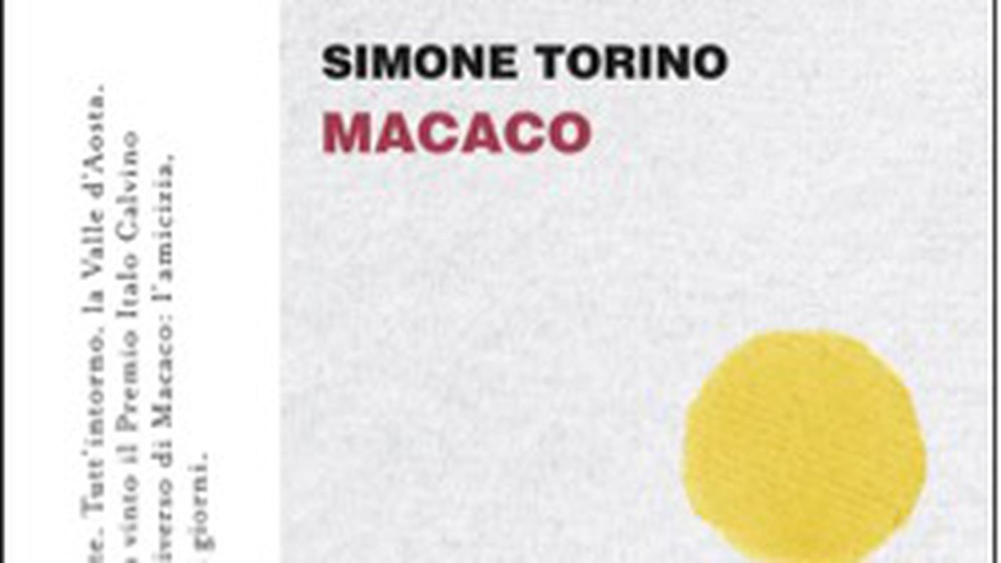 "Macaco" di Simone Torino, Einaudi (dettaglio di copertina)