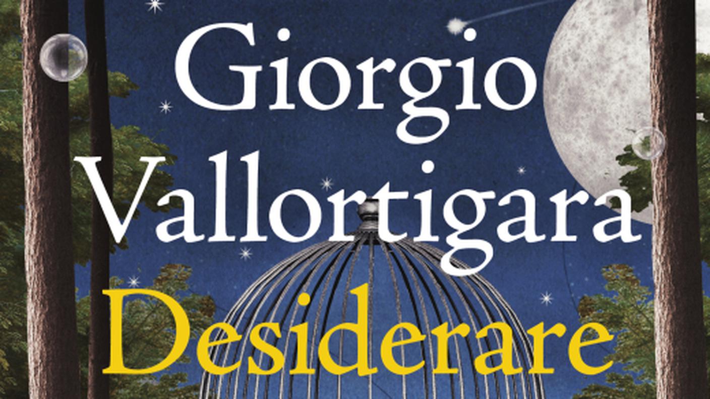 "Desiderare" di Giorgio Vallortigara, Marsilio Editori (dettaglio di copertina)