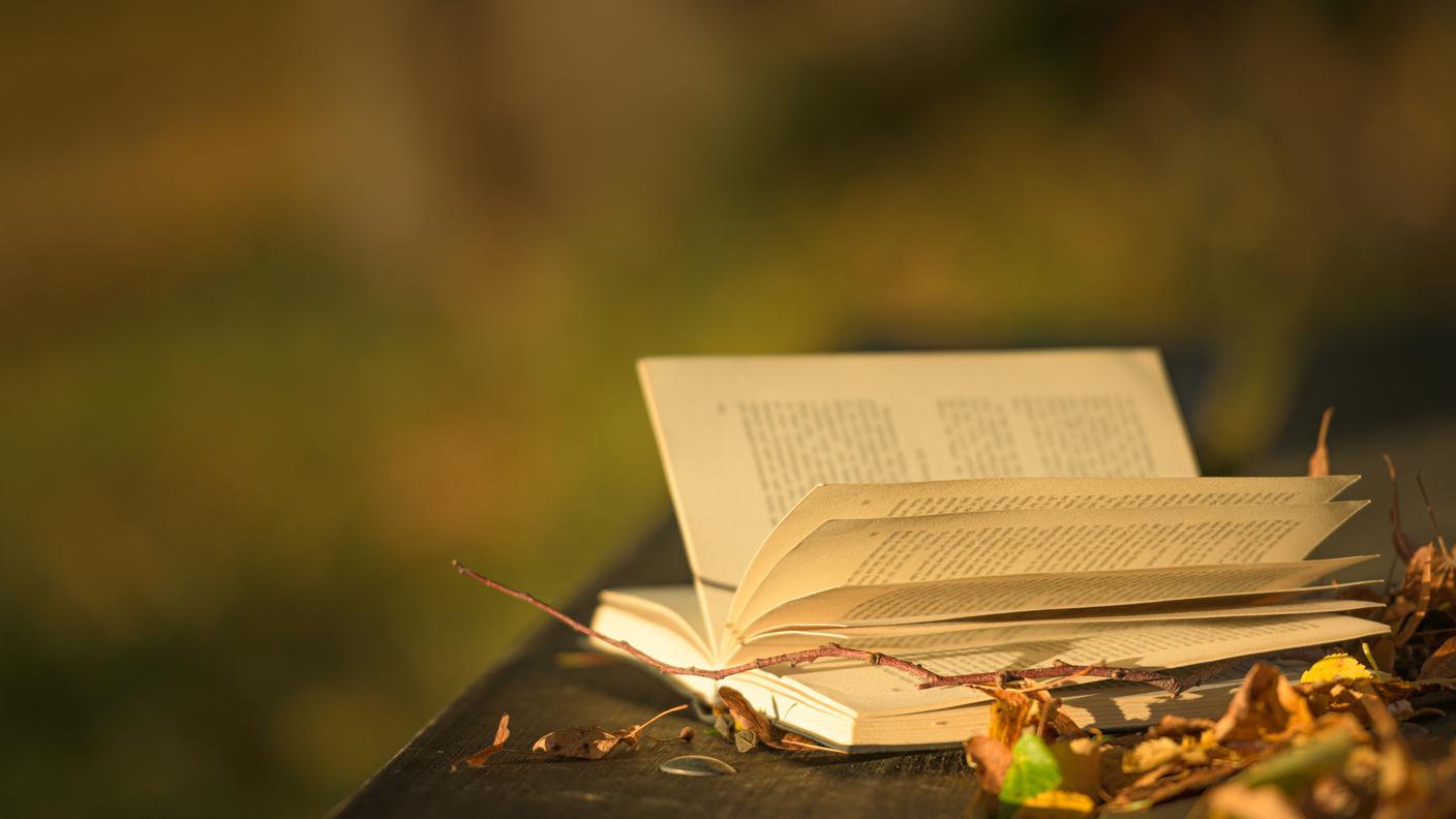 iStock-libri 