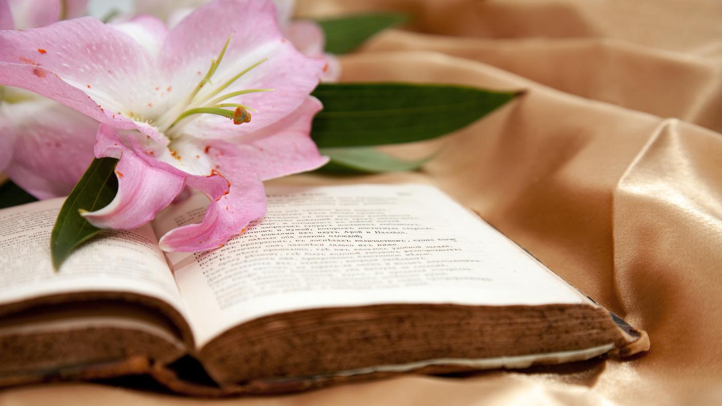 libro, fiore, femminilità 