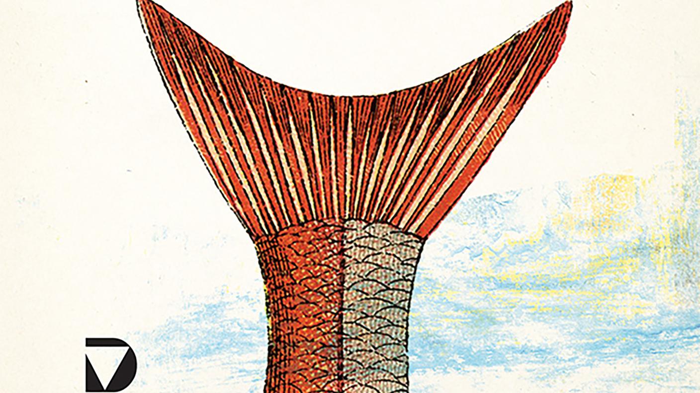 "Pigafetta" di Felicitas Hoppe; Del Vecchio Editore (dettaglio copertina) 