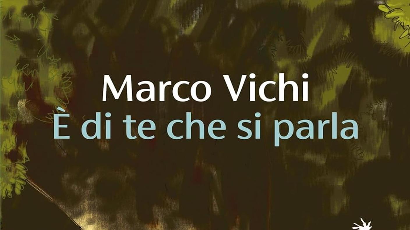 "È di te che si parla" di Marco Vichi, Guanda Narratore (copertina)