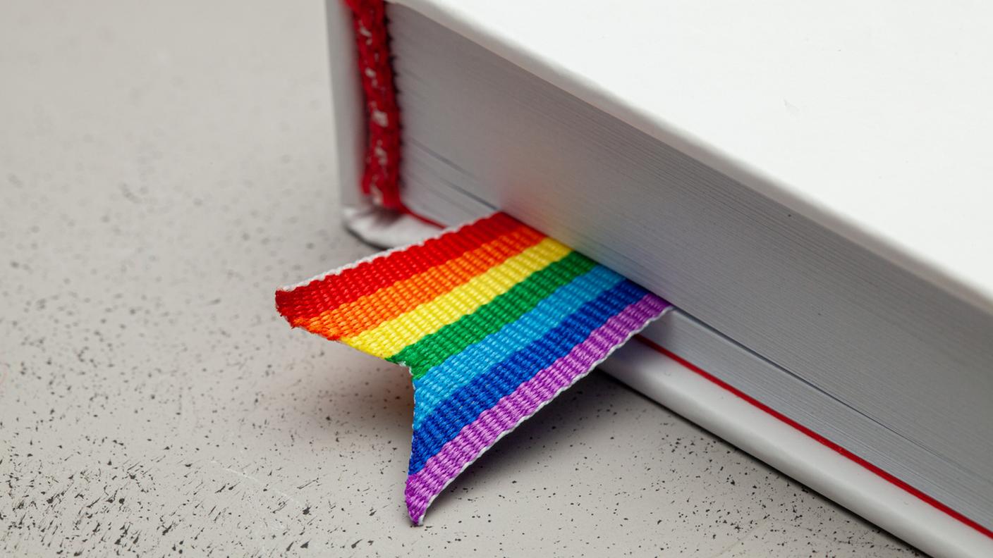 Libro LGBTQ+