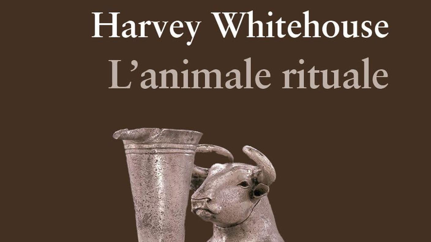"L’animale rituale" di Harvey Whitehouse, Castelvecchi Editore (copertine)