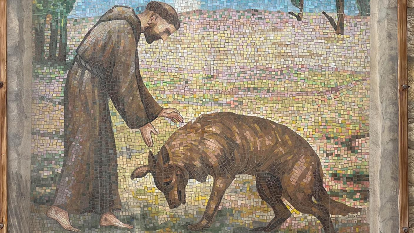 iStock-Francesco D'assisi 