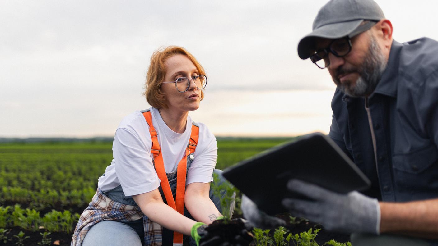 IA nell'agricoltura