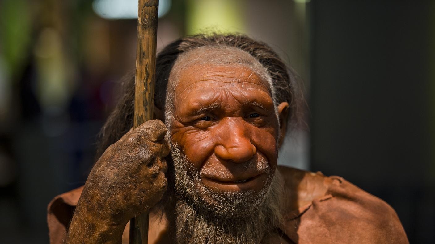 Neanderthal Museum