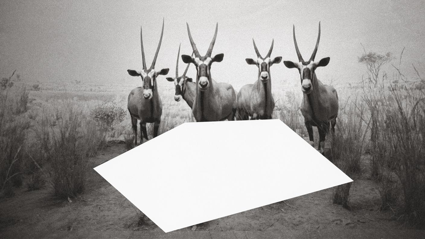 Teres Wydler “Nature IN Transit”