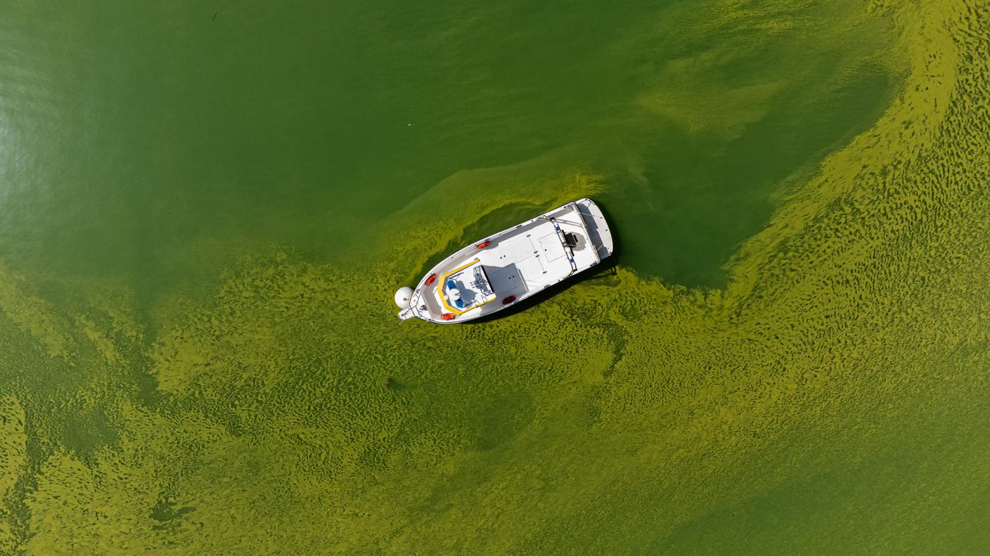 Dal bacino sud del lago, i cianobatteri si sono spinti fino a Gandria