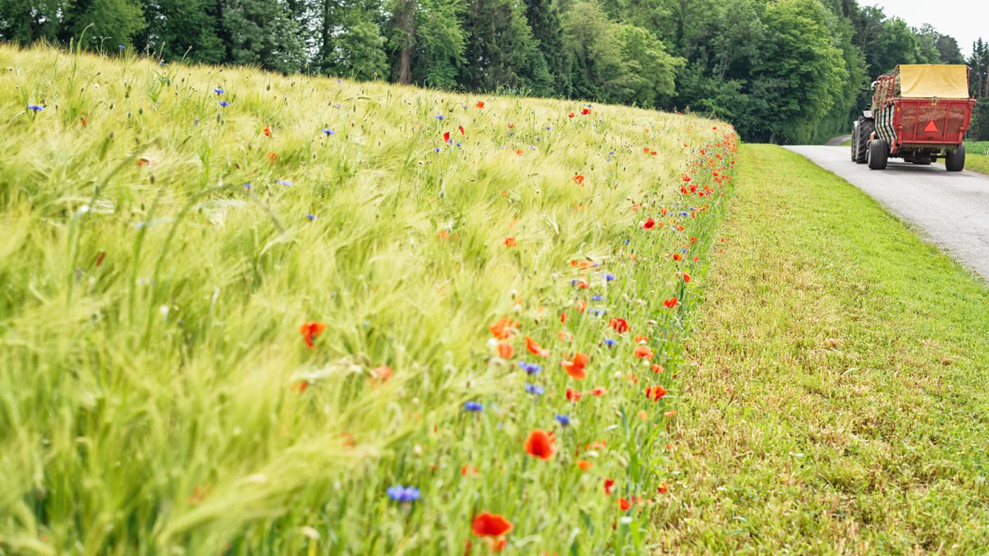 biodiversità
