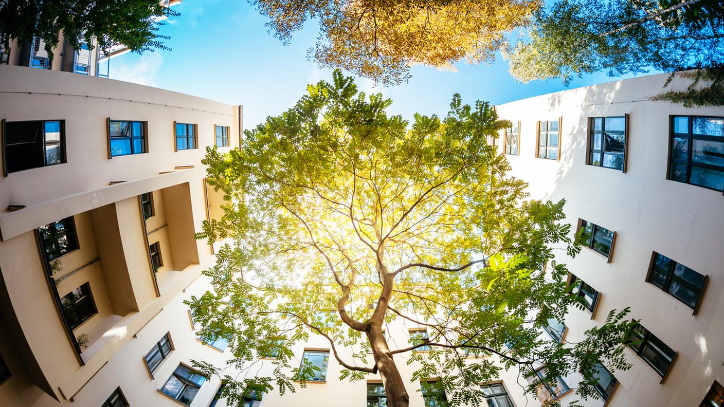 Natura tra gli edifici