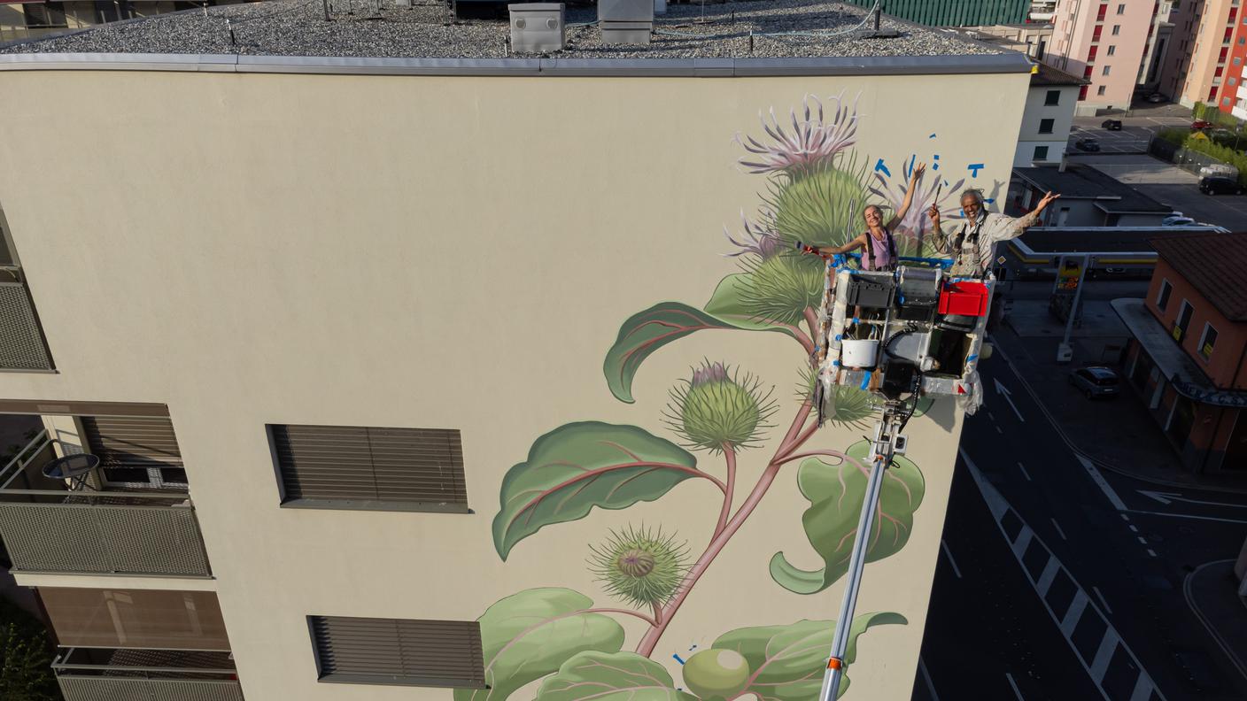 Murales di Mona Caron