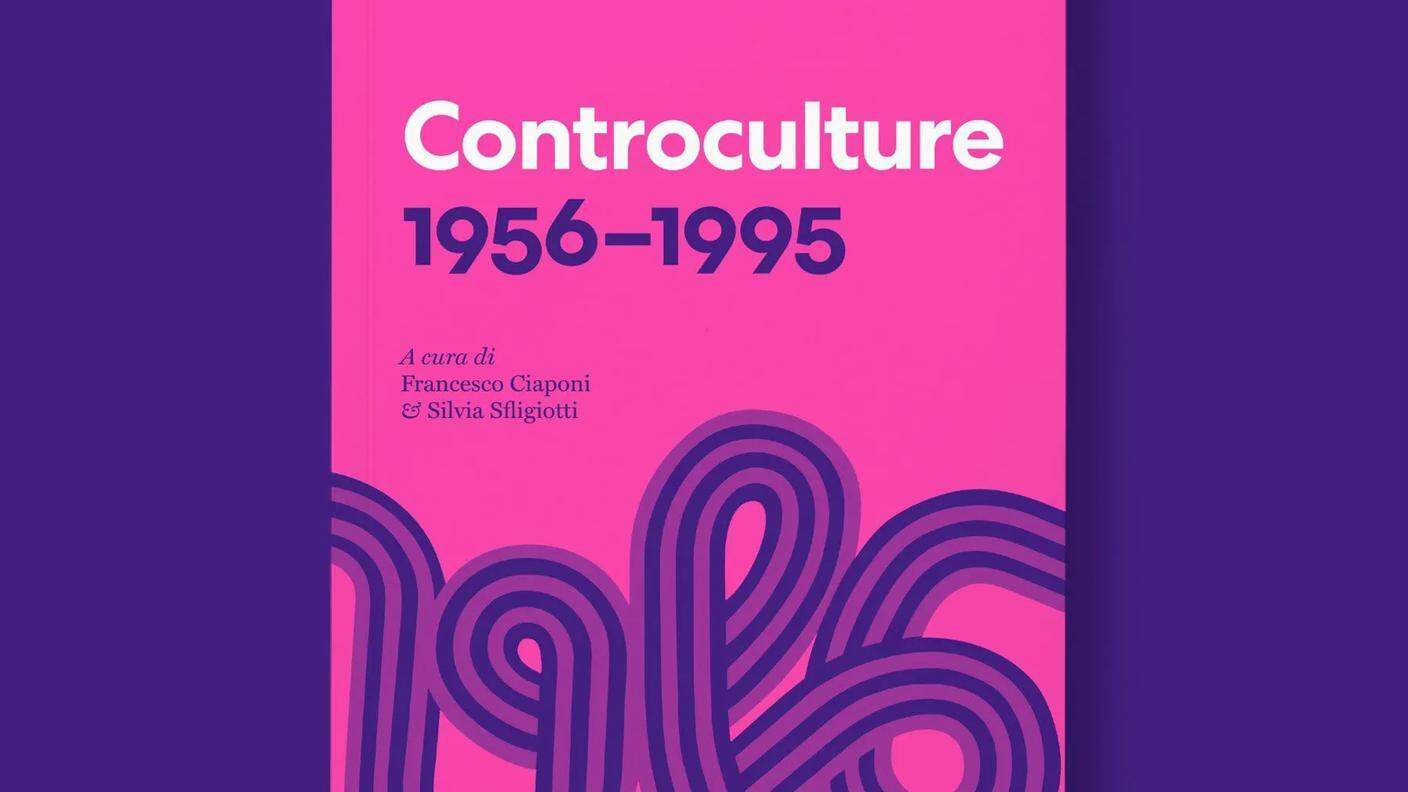 "Controculture. 1956-1995" di Silvia Sfligiotti e Francesco Ciaponi, Lazy Dog (dettaglio di copertina)