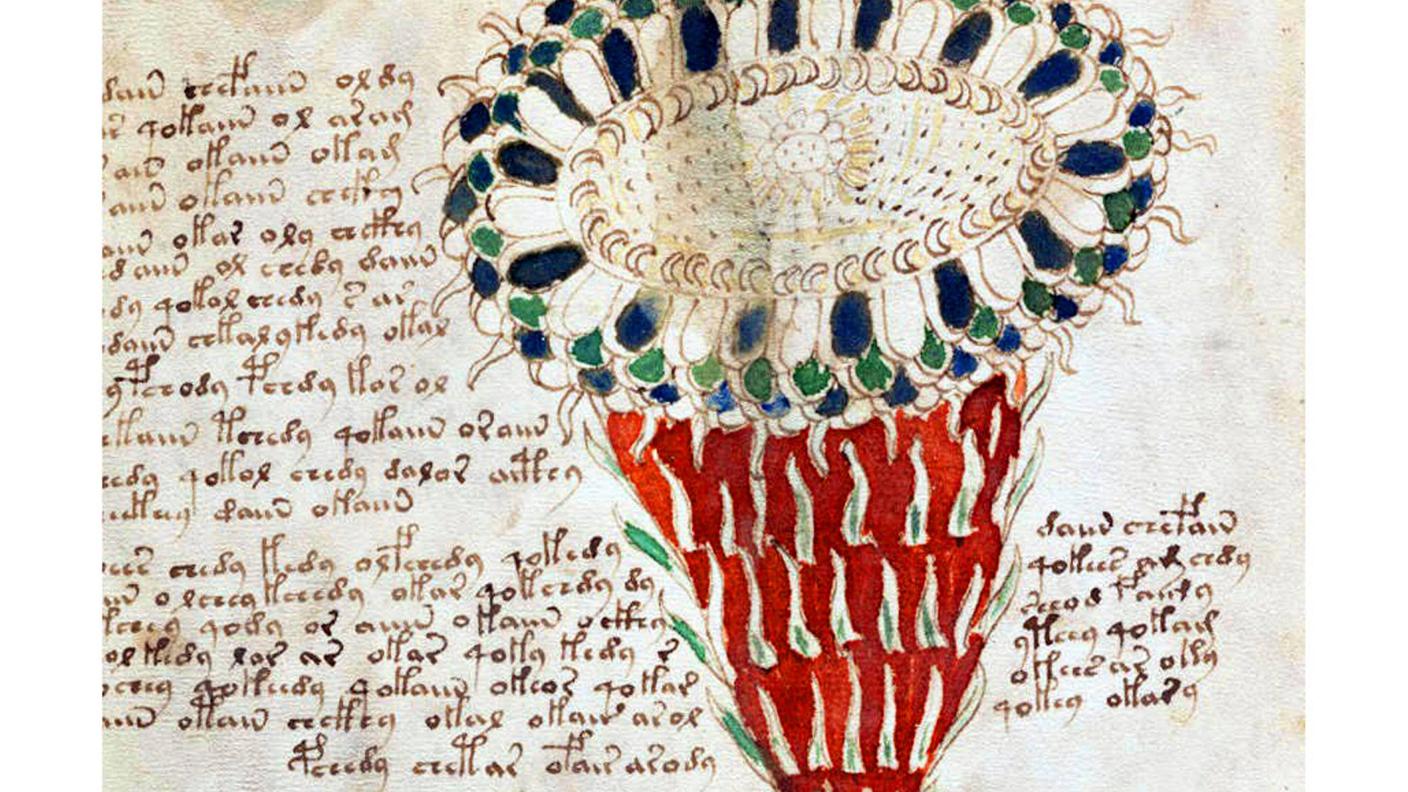 Voynich manuscript