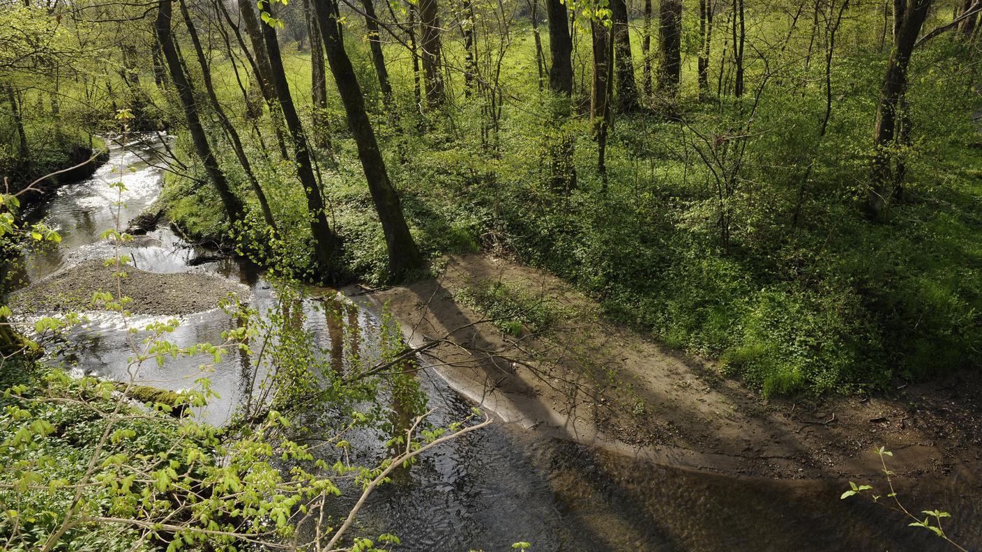 Il Parco del Laveggio 