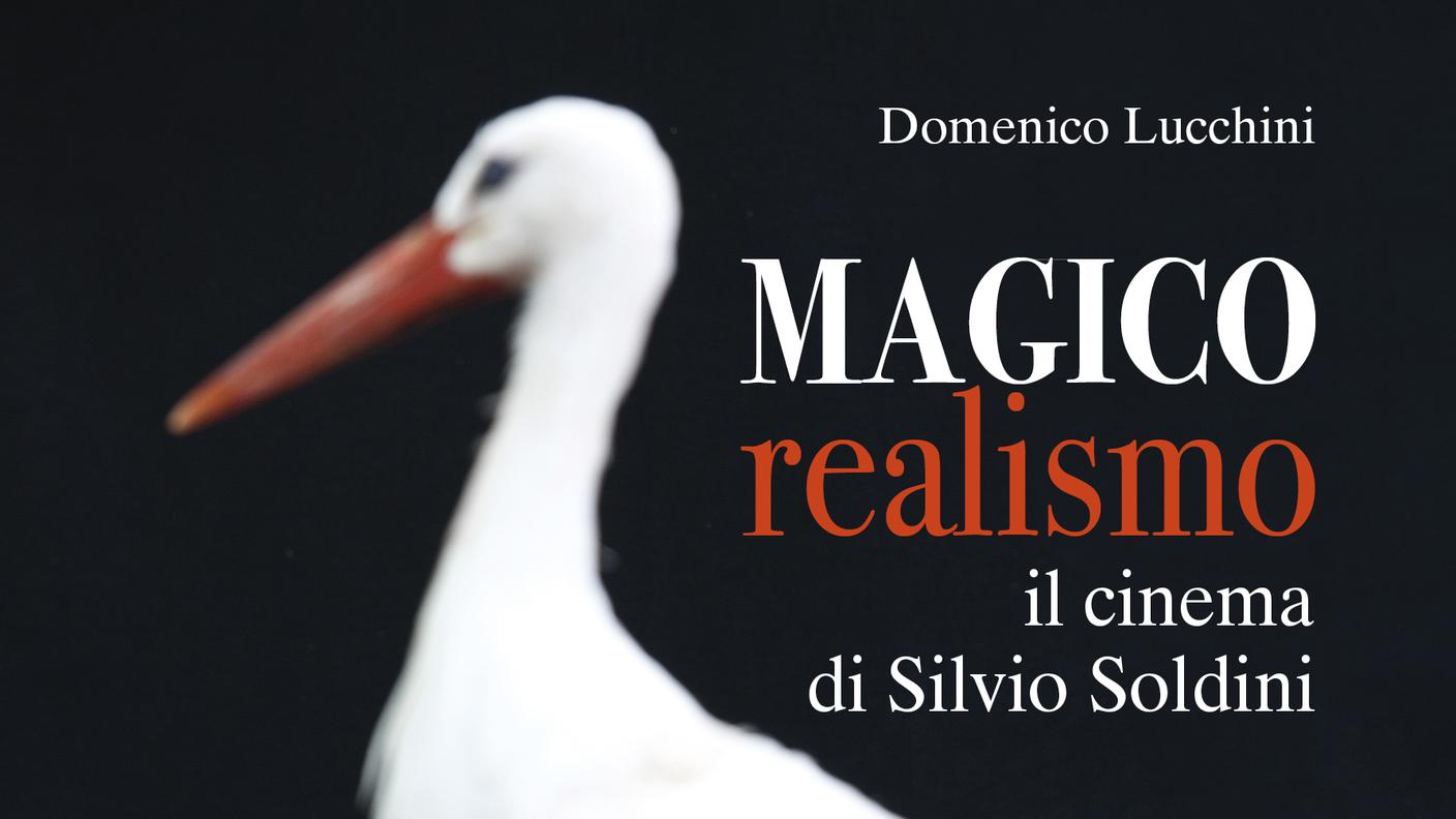 "Magico realismo" di Domenico Lucchini, Armando Dadò Editore (dettaglio di copertina)