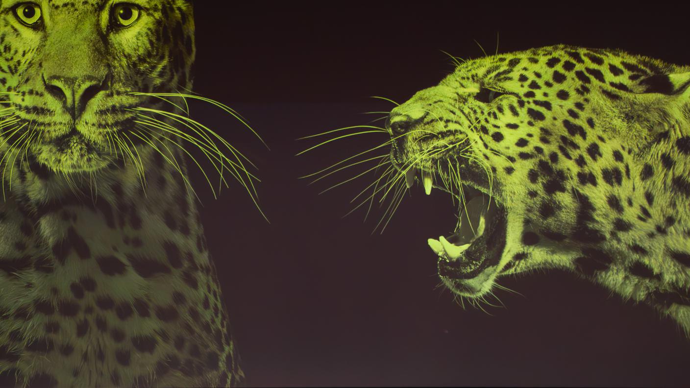 Locarno film festival