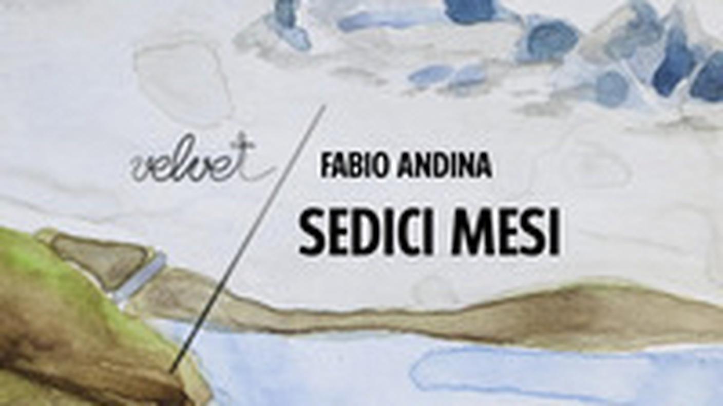 "Sedici Mesi" di Fabio Andina, rubbettino, (dettaglio di copertina)