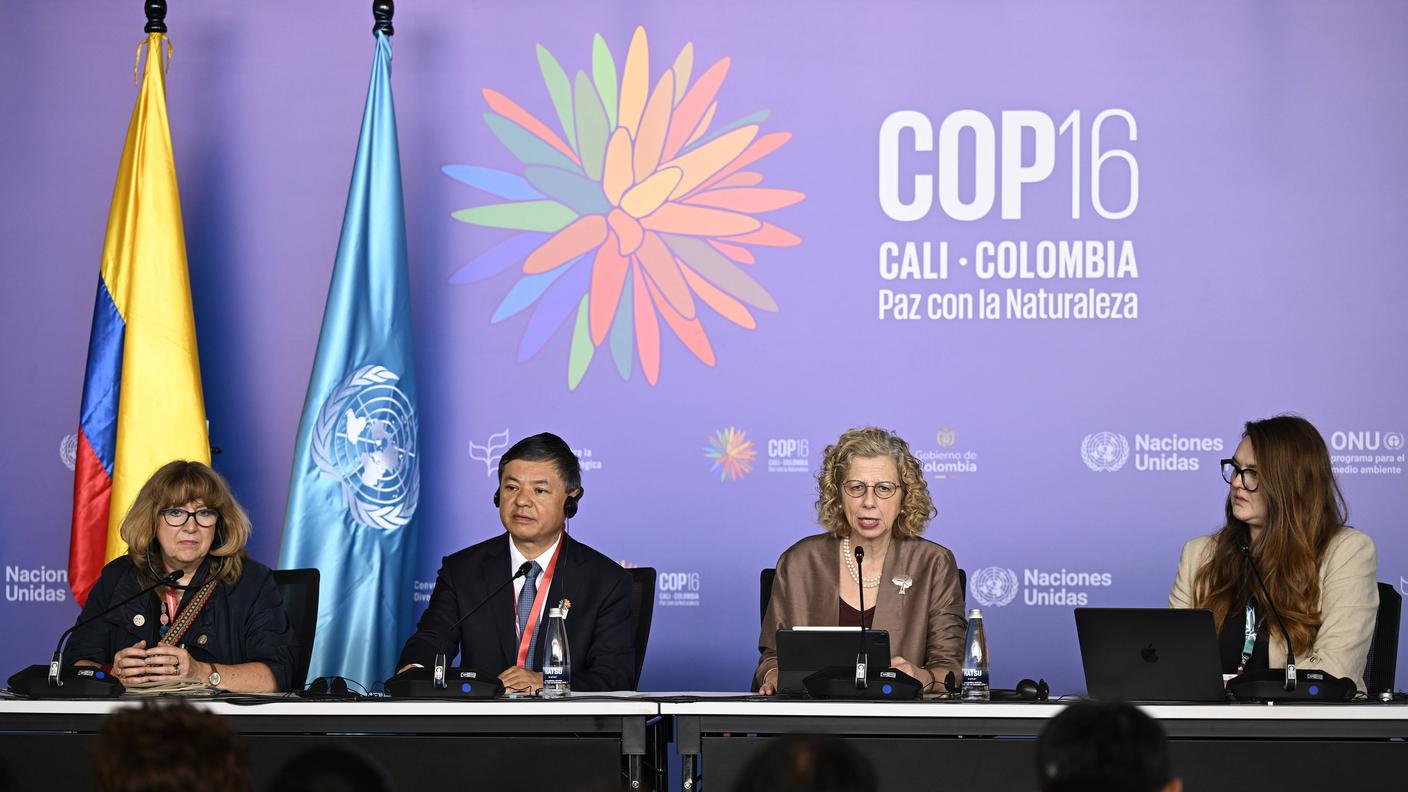 cop16