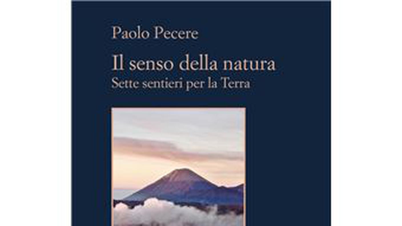 "ll Senso della Natura. Sette sentieri per la Terra pubblicato" di Paolo Pecere, Sellerio (dettaglio di copertina)