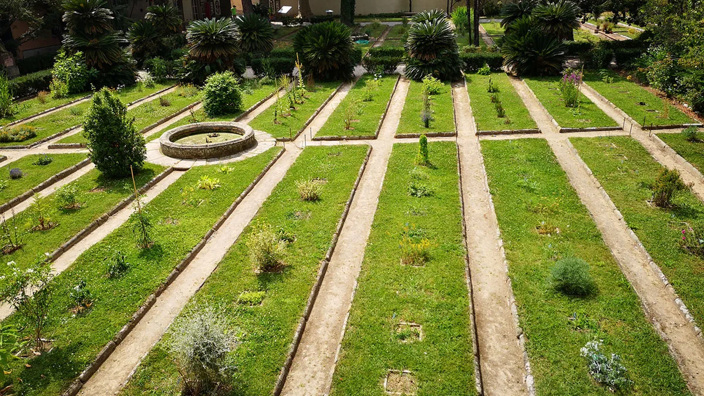 Orto Botanico di Pisa Figura-5.jpg