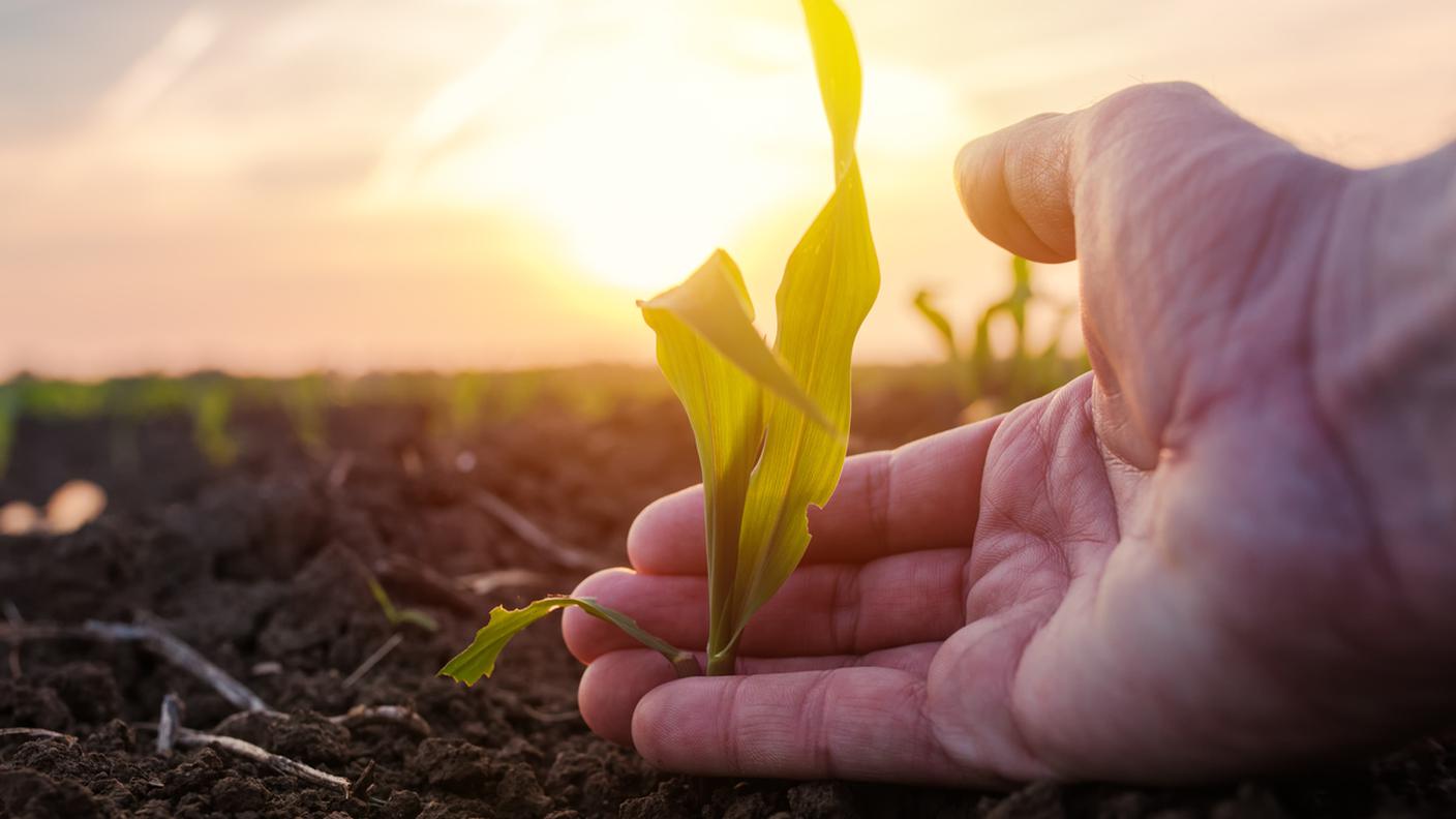 Biodiversità 