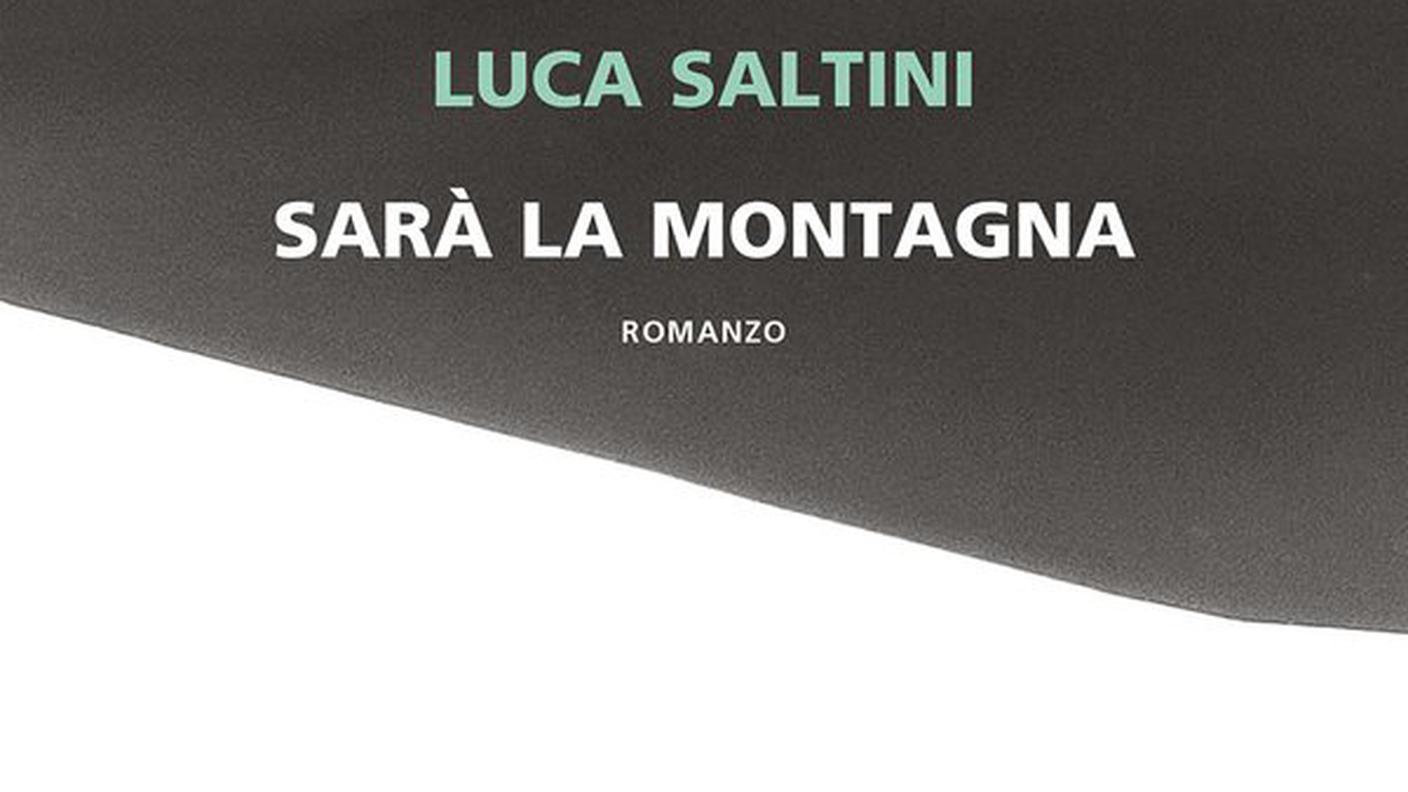 "Sarà la montagna" di Luca Saltini, Neri Pozza, (dettagli di copertina)