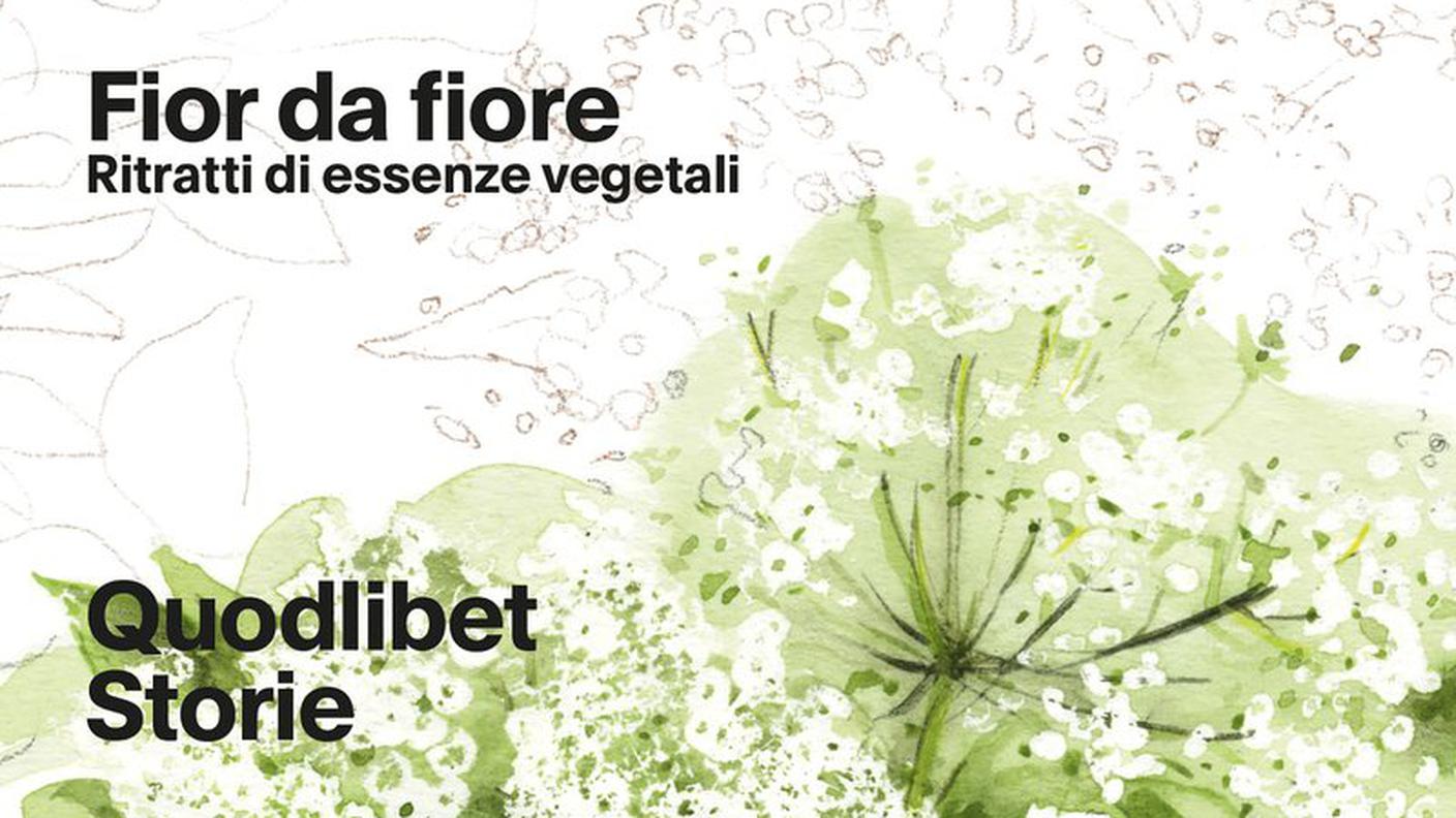 "Fior da fiore. Ritratti di essenze vegetali"di Angela Borghesi, Quodlibet, (dettagli di copertina)  