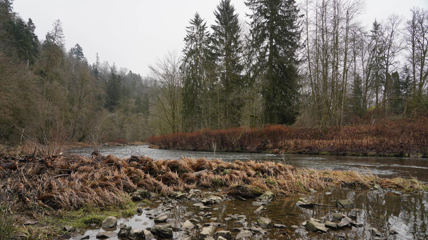 Nature Reserve