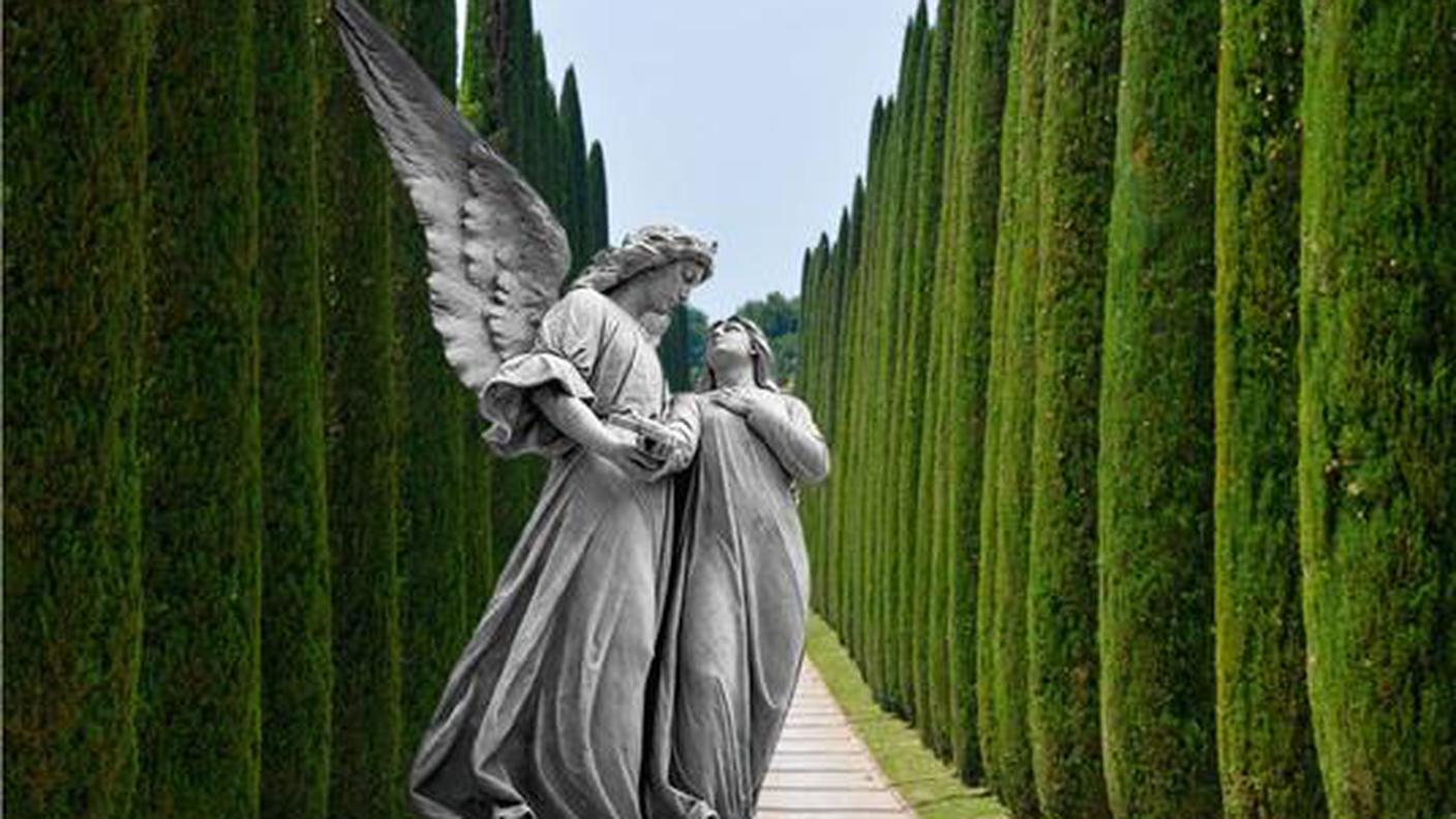 "Incontri tra i cipressi del Ticino" di Mare Dignola, Fontanaedizioni, (dettaglio di copertina)