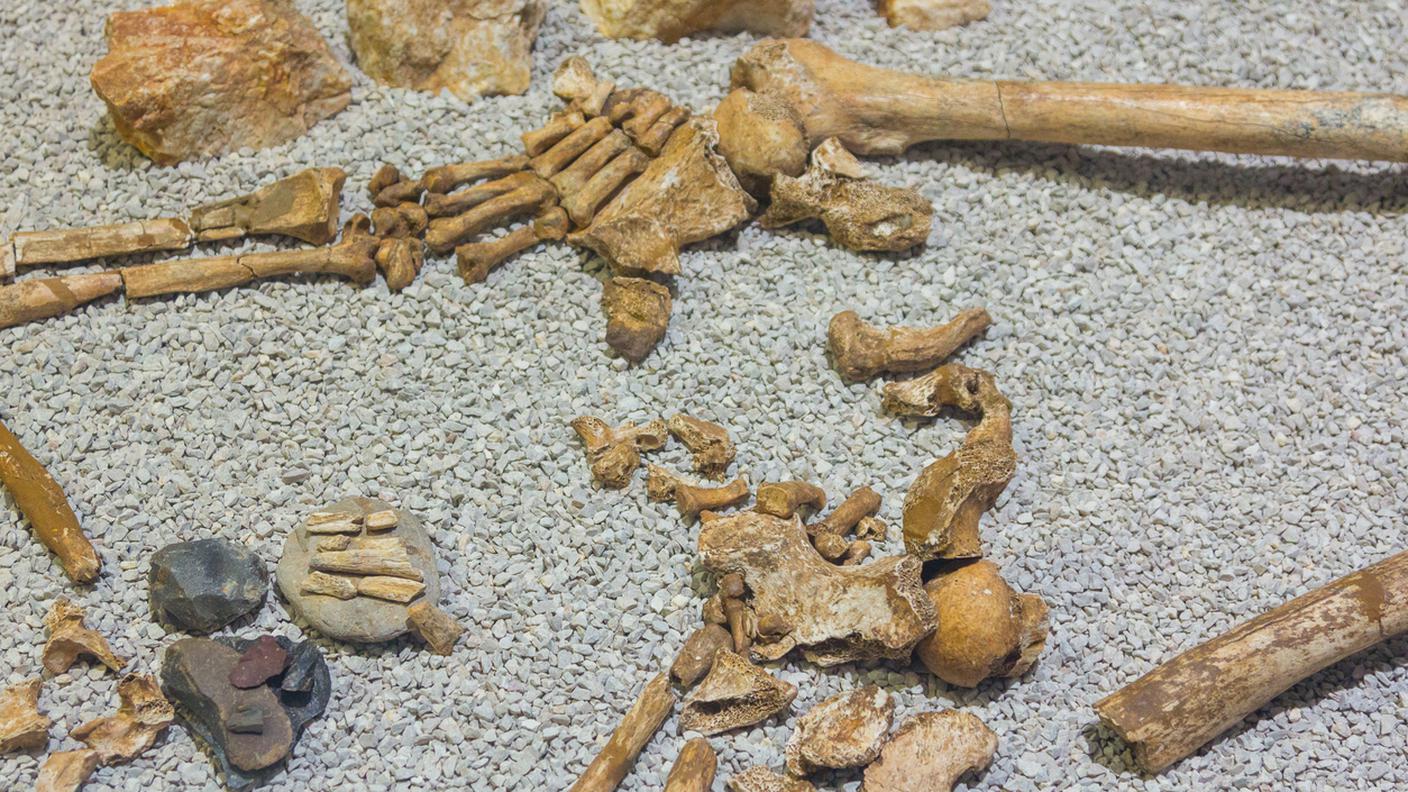Paleantropologia