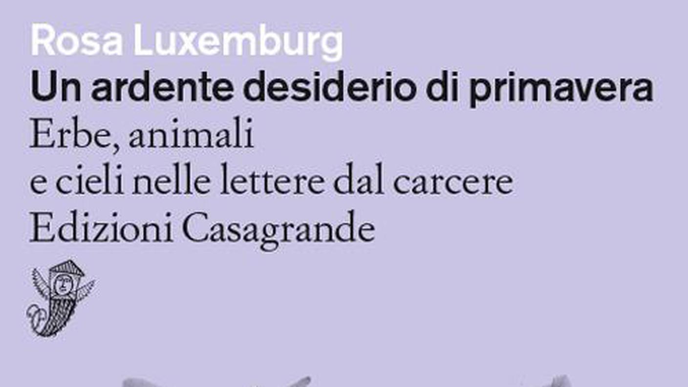 "Un ardente desiderio di primavera" di Rosa Luxemburg, Edizioni Casagrande (dettaglio di copertina)