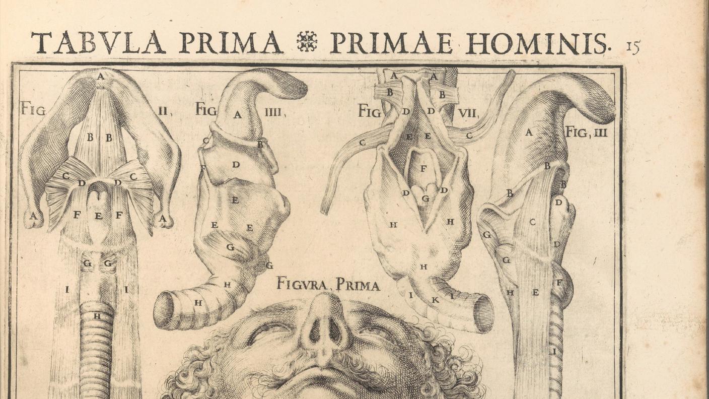 Tabulae anatomicae Giulio Casserio 