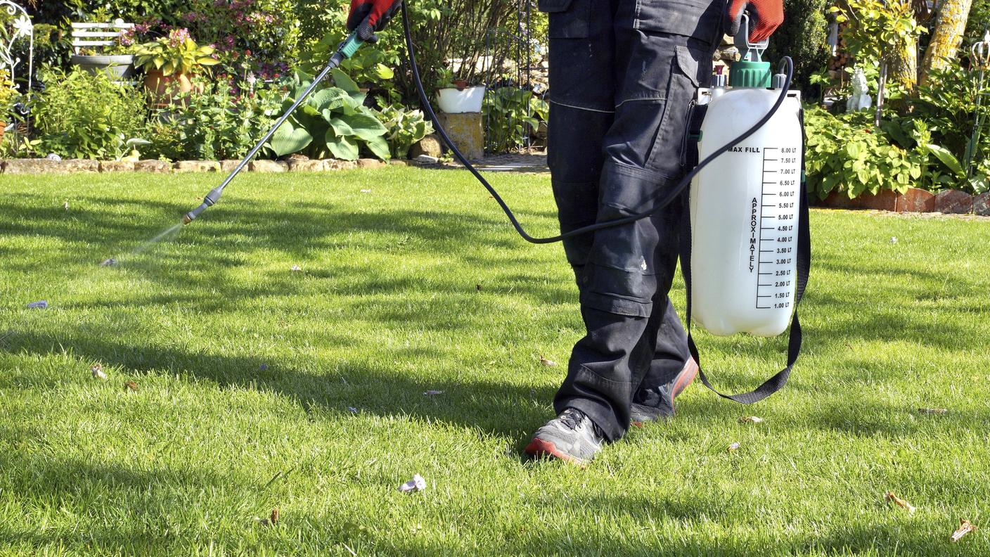 fertilizzanti chimici