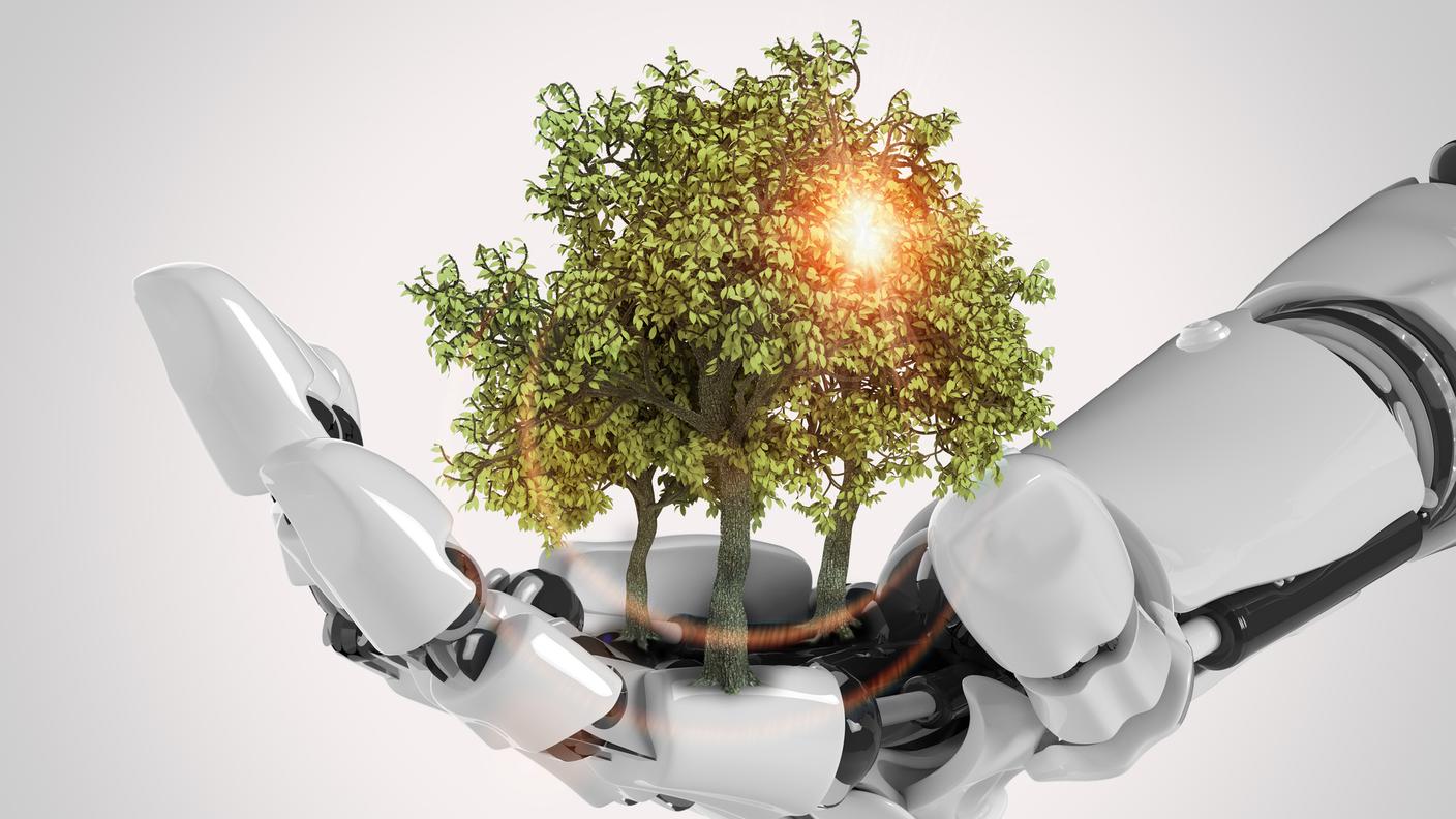 robot e natura