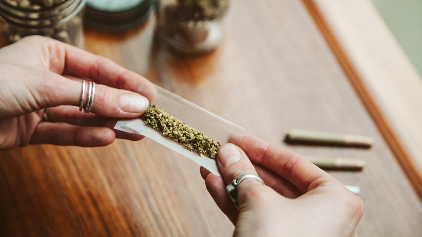 canapa, cannabis