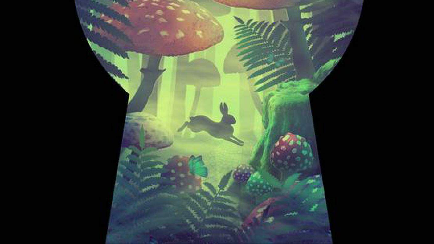 iStock-Siluetta di buco della serratura su sfondo nero e fantastico paesaggio della foresta delle meraviglie con funghi - illustrazioni stock.jpg