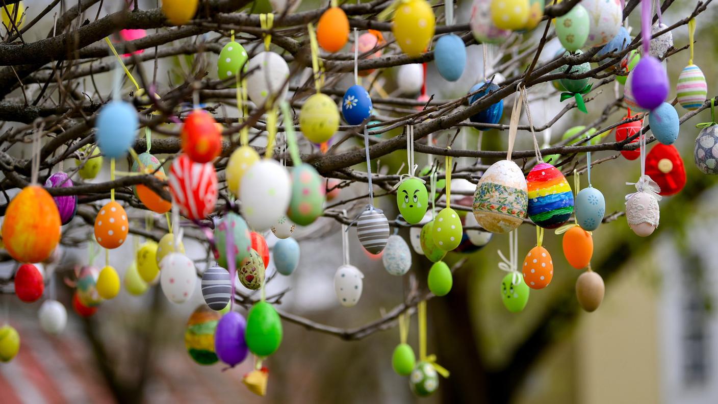 Pasqua