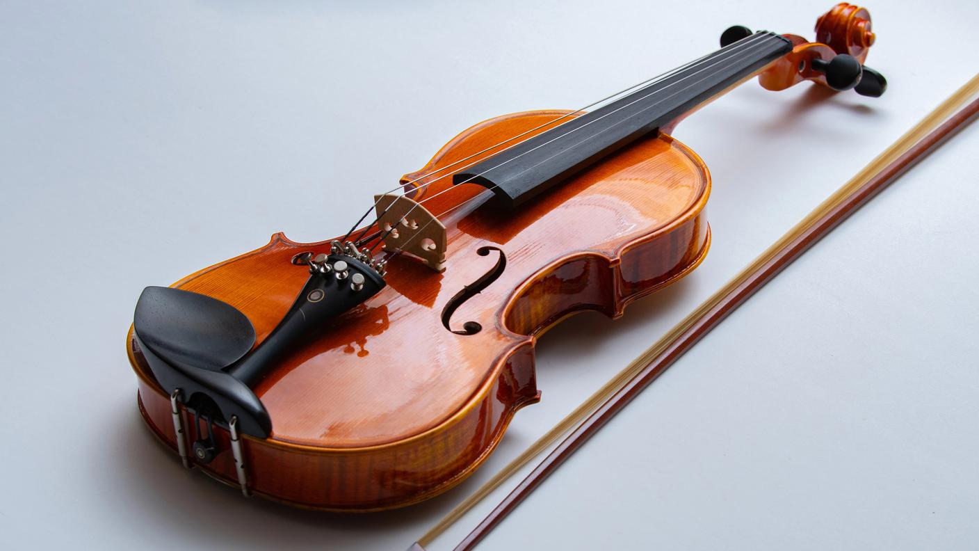 violino