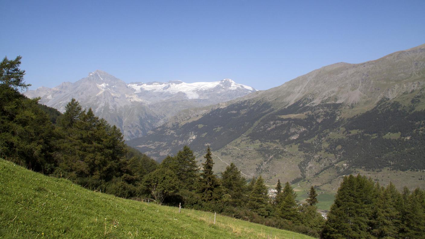 Alpi
