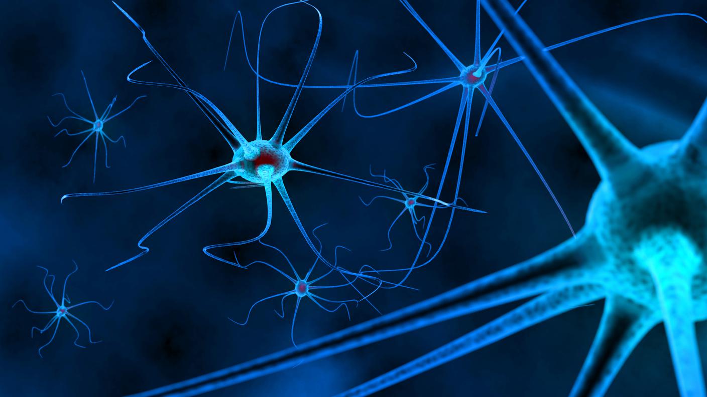 iStock-Cervello umano, Segnale, Neuroscienza, Cervello, Neurone